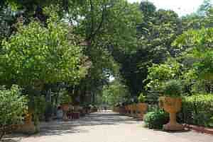 A green and glorious avenue beckons as you enter